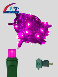 Minleon 50L 6
